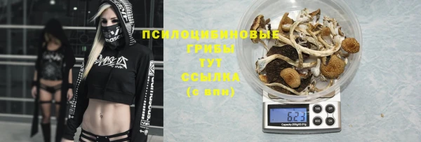 MDMA Premium VHQ Гусь-Хрустальный