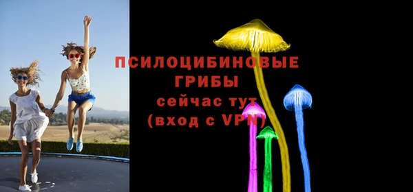 бутират Гусев