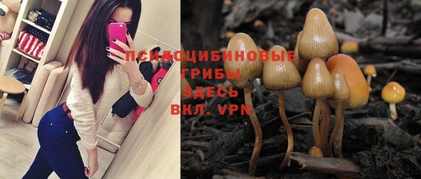шишки Горнозаводск